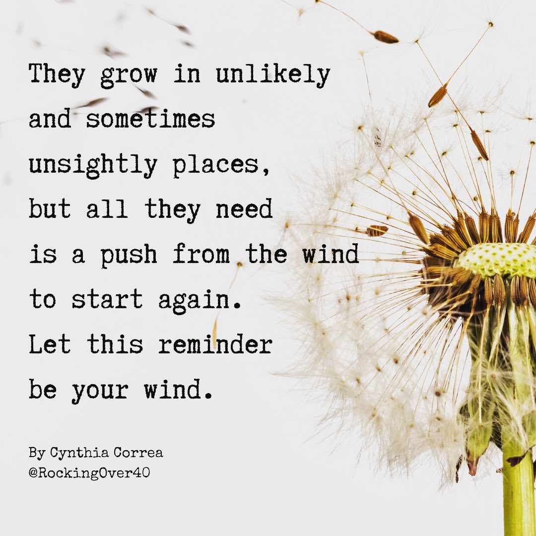 #100daychallenge #100daychallenge2021 #day96 #life #love #living #writer #writersofinstagram #writing #writingcommunity #writers #writerslife #write #latinawriters #latinawriter #poetry #poems #poetrycommunity #poetsofinstagram #poemporn #poems #over40 #over50